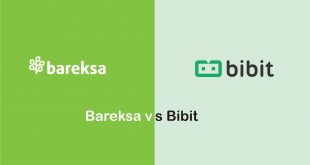aplikasi Bareksa vs Bibit