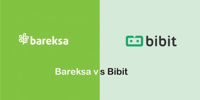 aplikasi Bareksa vs Bibit