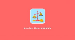 investasi moderat adalah