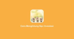 cara menghitung NPV investasi
