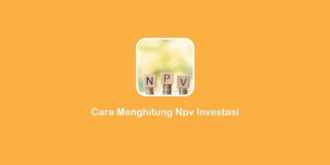 cara menghitung NPV investasi