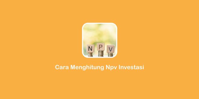 cara menghitung NPV investasi