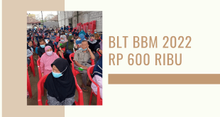 BLT BBM