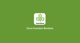 Cara Investasi Bareksa