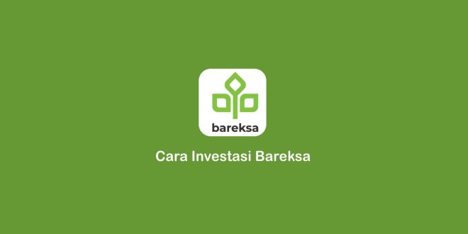 Cara Investasi Bareksa