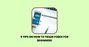 Tips on How to Trade Forex for Beginners