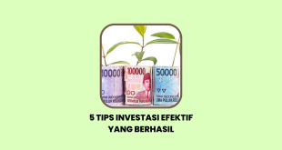 Tips Investasi Efektif yang Berhasil