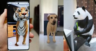 Google 3D Membuat Gambar Hewan 3D Google