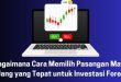 Bagaimana Cara Memilih Pasangan Mata Uang yang Tepat untuk Investasi Forex