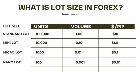 Bagaimana Menentukan Ukuran Lot yang Sesuai dalam Investasi Forex