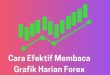 Cara Efektif Membaca Grafik Harian Forex
