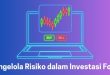 Mengelola Risiko dalam Investasi Forex