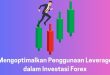 Mengoptimalkan Penggunaan Leverage dalam Investasi Forex