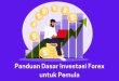 Investasi Forex untuk Pemula