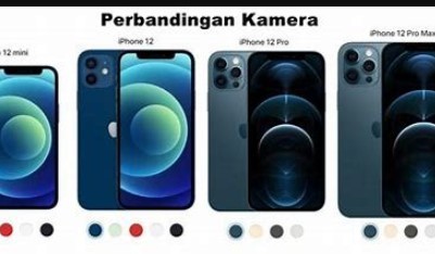 Kamera Ultra Wide pada iPhone Apa yang Harus Anda Ketahui