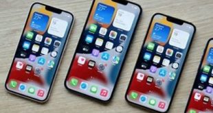 Memahami Perbedaan Antara iBoxTAM, Inter, dan Distributor