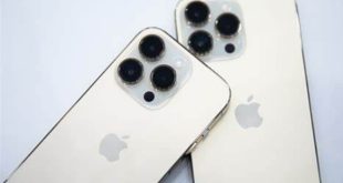Memahami Perbedaan iPhone iBox dan iPhone Inter