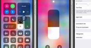 Memahami dan Memaksimalkan Fitur True Tone pada iPhone dan iPad