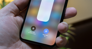 Mengungkap Makna Sejati True Tone pada iPhone dan iPad