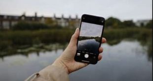 Perbedaan Fitur Kamera Ultra Wide pada iPhone Apa yang Perlu Anda Ketahui